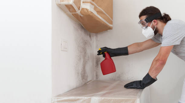 Professional Mold Inspection And Testing technician working in Hallwood, VA